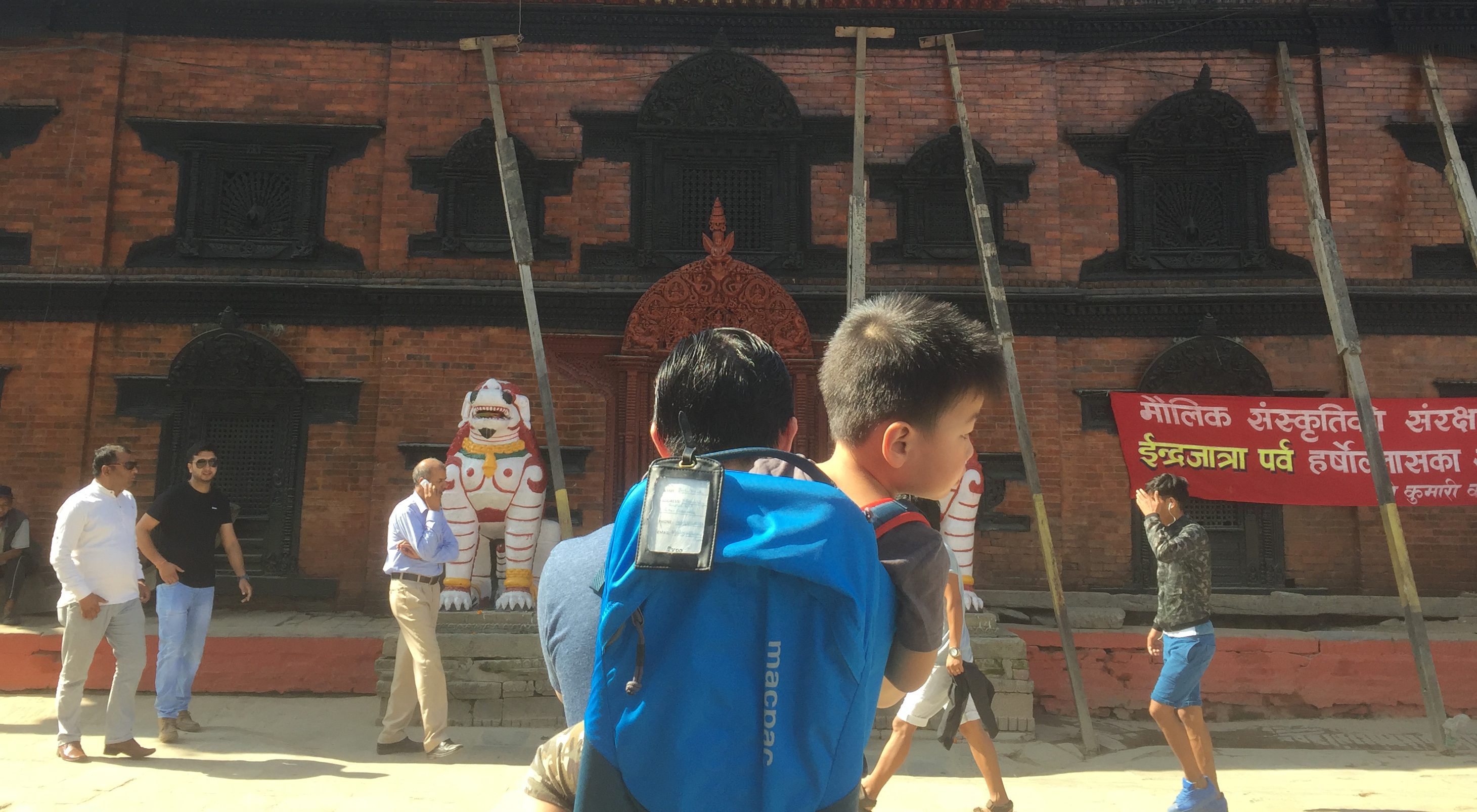 macpac koala child carrier