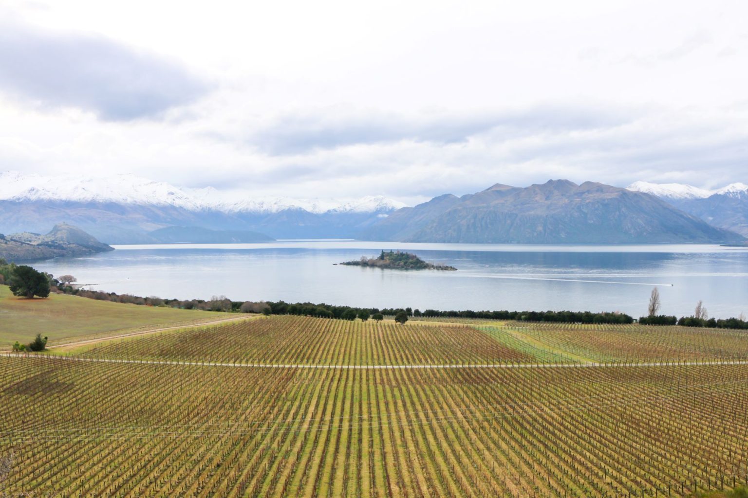 Wanaka & Mount Cook National Park Top kids friendly things to do Lets Go Bear Travels