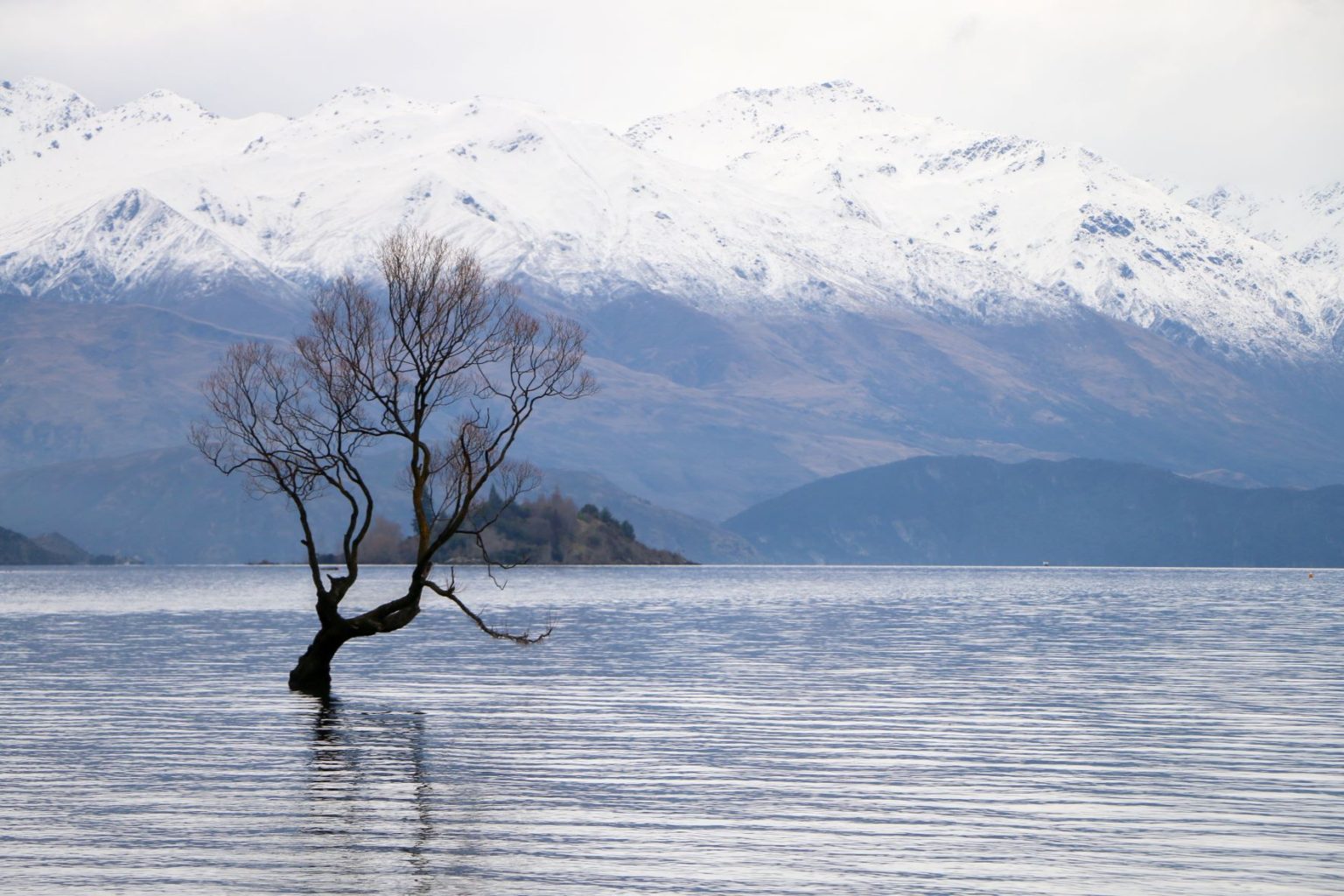 Wanaka & Mount Cook National Park Top kids friendly things to do Lets Go Bear Travels